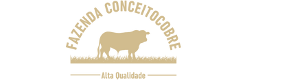 Conceito Cobre